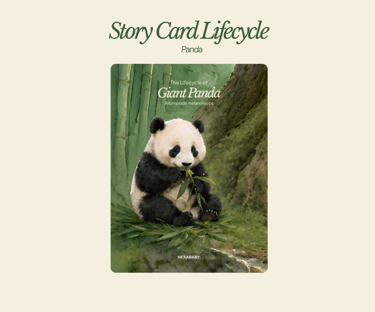 Storycard Panda