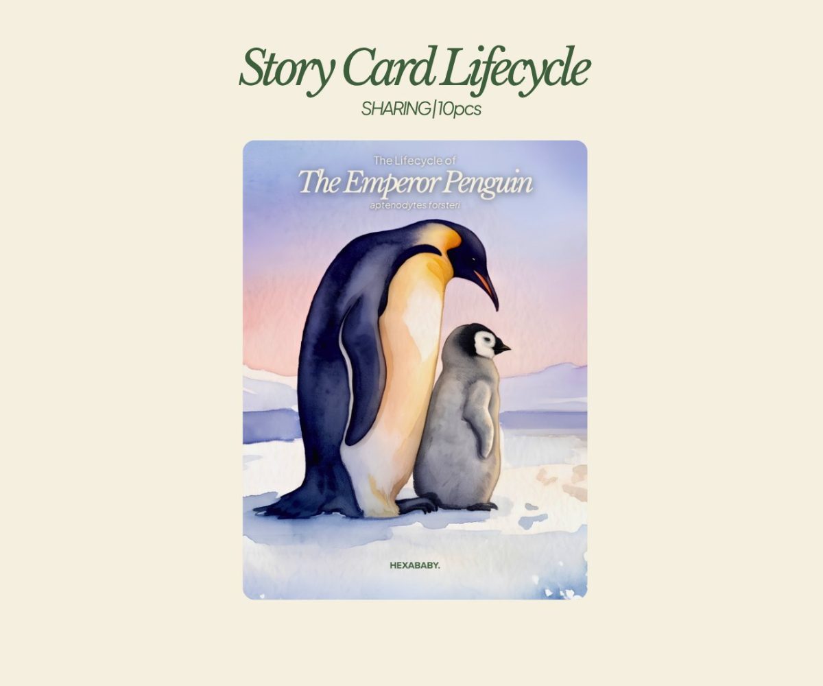 Storycard Penguins