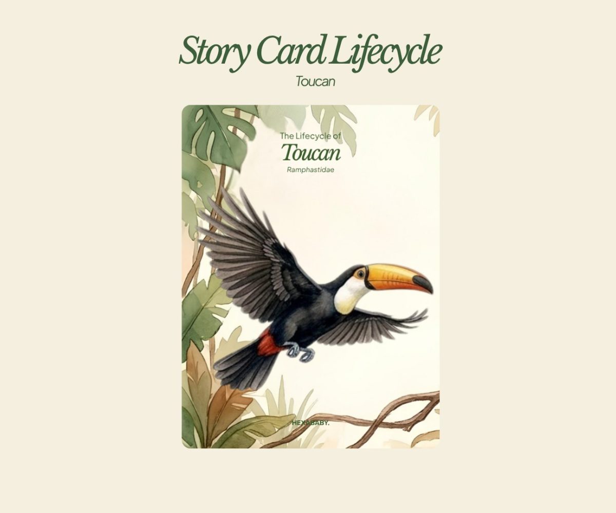Storycard Toucan