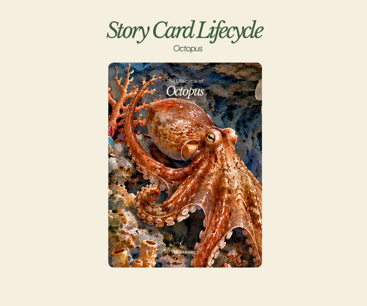 Storycard Octopus