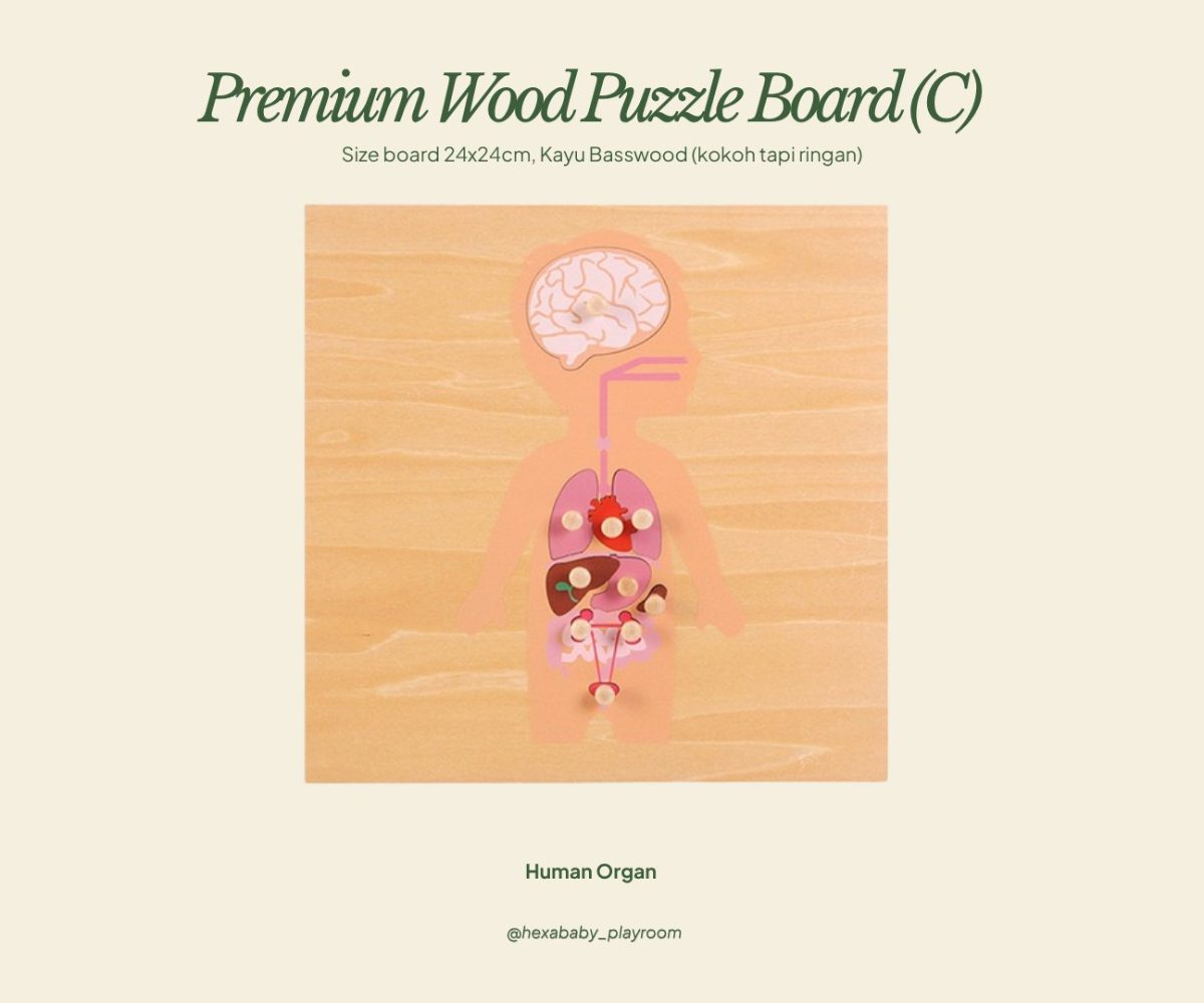 Wood Puzzle Board – Human Organs