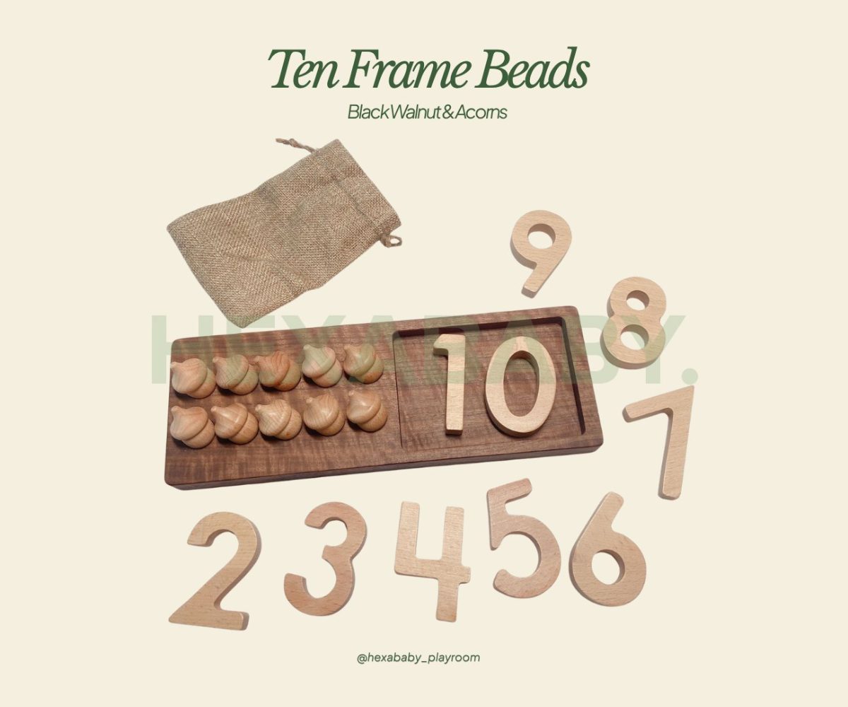 Montessori Ten Frame Beads – Black Walnut & Acorns