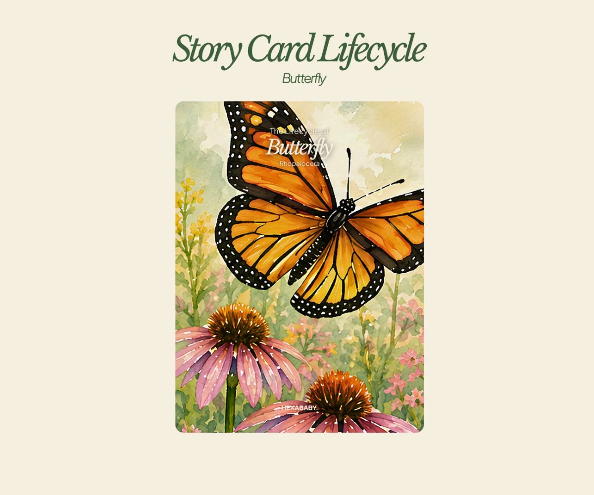 Storycard Butterfly